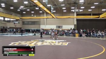 125 lbs Quarterfinal - Nick Rodriguez, Lourdes vs Gavin Richard, Delaware Valley