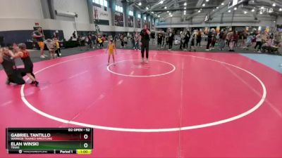 52 lbs Cons. Round 3 - Gabriel Tantillo, Warrior Trained Wrestling vs Elan Winski, Texas