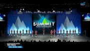 Dollhouse Dance Factory - The Finals [2025 Mini - Hip Hop - Large Finals] 2025 The Dance Summit