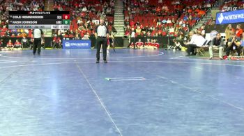 3A-150 lbs Cons. Round 3 - Kash Johnson, Ankeny vs Cole Hemmingsen, Dallas Center-Grimes
