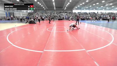 138 lbs Round Of 64 - Noah Cuic, VA vs Aidan Gillings, NY