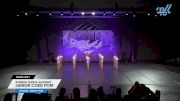 Synergy Dance Academy - Junior Coed Pom [2025 Junior - Pom Day 1] 2025 Power Dance Grand Nationals