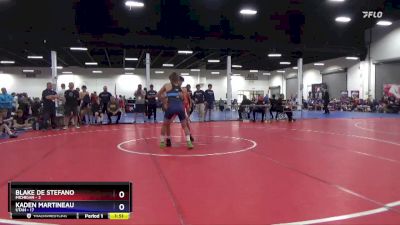 136 lbs Round 2 (8 Team) - Blake De Stefano, Michigan vs Kaden Martineau, Utah