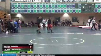 132 lbs Cons. Round 4 - Dylann Ciarciaglini, Centennial vs Tristan Wheeler, Yorba Linda