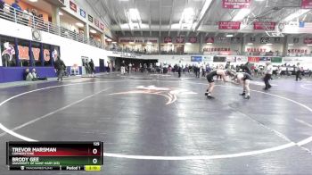 125 lbs Semifinal - Trevor Marsman, Cornerstone vs Brody Gee, University Of Saint Mary (KS)