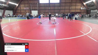 182 kg Rr Rnd 3 - Logan Cofsky, South Side Wc/ Greens Farms Academy vs Ryan Schneider, Southside Wrestling Club