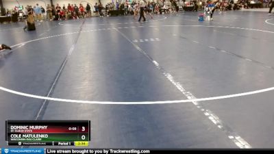 Elite 197 lbs Quarterfinal - Dominic Murphy, St. Cloud State vs Cole Matulenko, Wisconsin-Eau Claire