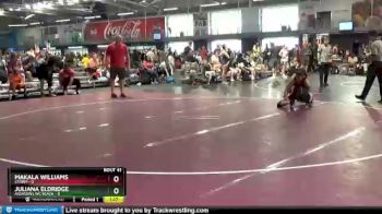 110 lbs Round 9 (10 Team) - Makala Williams, Storm vs Juliana Eldridge, Assassins WC Black