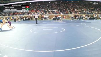 D2-215 lbs Quarterfinal - Layne O`Neil, Fowlerville HS vs Joshua Golding, Warren Woods-Tower HS