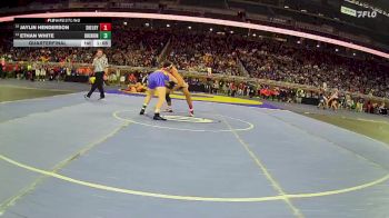 D3-165 lbs Quarterfinal - Ethan White, Birch Run vs Jaylin Henderson, Shelby
