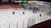 Replay: Vipr - 2025 Yorkton Terriers Test | Mar 18 @ 12 PM