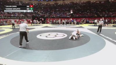 113 lbs Quarters - Dominic Difilippo, Medina vs Callen Owen, Troy