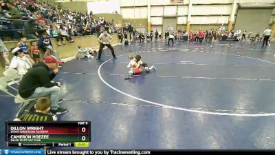 77 lbs Quarterfinal - Cameron Hoezee, Salem Elite Mat Club vs Dillon Wright, Stout Wrestling Academy