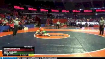 3 lbs Cons. Round 1 - Sean VanSleet, Elmhurst (York) vs Dominic Schiavone, Minooka