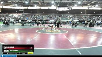 132 lbs Cons. Semi - Ava Collins, Vale vs Regan Heywood, Wasatch