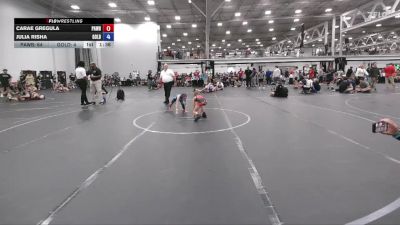 57 lbs Round 2 (6 Team) - Carae Gregula, PA West Black vs Julia Risha, All I See Is Gold Academy