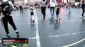 49 lbs Round 1 (4 Team) - Dallas Williams, Team Palmeto vs Adonis Drane, Steel Valley