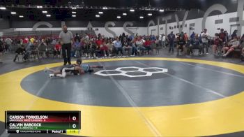 65 lbs Semis & 1st Wrestleback (8 Team) - Calvin Babcock, Gotcha Illinois (IL) vs Carson Torkelson, LAW/Crass Wrestling(WI)