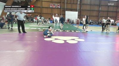 119 lbs Final - Vincent Orandello, Vhw vs Austin Bronco Campsey, Barn Brothers
