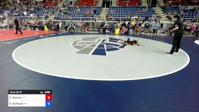 110 lbs Cons 32 #1 - Carlye Ana Boenau, NY vs Gisele Gallegos, MN