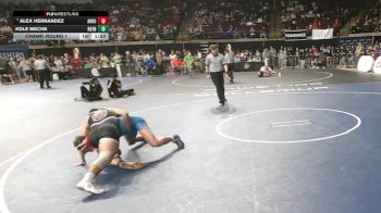 D 2 175 lbs Champ. Round 1 - Alex Hernandez, Archbishop Rummel vs Kole Meche, Rayne