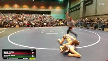 132 lbs Quarterfinal - Luke Cheek, Harrisburg vs Canon Winn, Burns