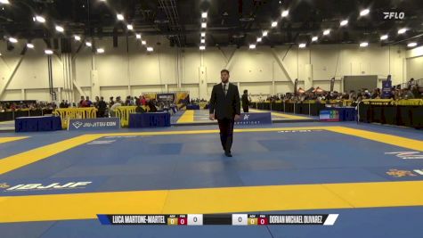 Dorian Michael Olivarez vs Luca Martone-Martel 2024 World IBJJF Jiu-Jitsu No-Gi Championship