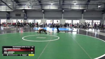 125 lbs Champ. Round 1 - Brandon Mendoza, Tiffin vs Ben Aranda, Cleveland State