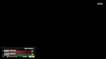 138 lbs Cons. Round 3 - Ethan Braun, Widefield vs Carlos Rojas, Pomona