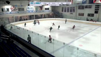 Replay: Home - 2024 Bridge HC vs Venom U8 | Feb 17 @ 3 PM