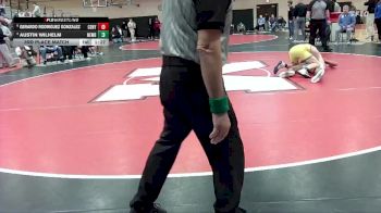 132 lbs 3rd Place Match - Austin Wilhelm, Newberg vs Gerardo Rodriguez Gonzalez, Century