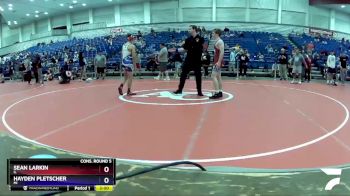 138 lbs Cons. Round 5 - Sean Larkin, IL vs Hayden Pletscher, MI