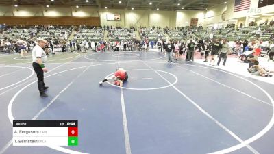 100 lbs Consolation - Archer Ferguson, Cornerstone MC vs Trewhitt Bernstein, Orland WC