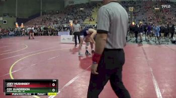 174 lbs Placement Matches (16 Team) - Coy Gunderson, Augustana (SD) vs Joey Mushinsky, UMary