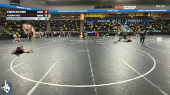 113 lbs Champ. Round 2 - Hogan Rice, Woodstock (Marian) vs Colton Schultz, Joliet (Catholic Academy)