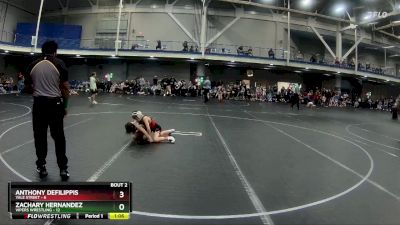 60 lbs Round 1 (4 Team) - Zachary Hernandez, Vipers Wrestling vs Anthony DeFilippis, Yale Street