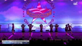 Fierce Idaho - Itty Bitty Kitties [2025 L1 Tiny - Novice - Restrictions Day 1] 2025 The American Northwest Portland Nationals