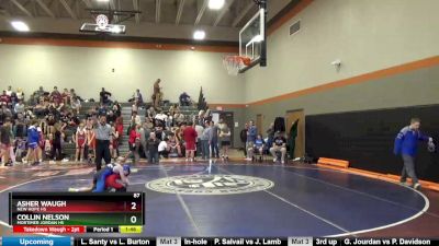 87 lbs Championship Bracket - Asher Waugh, New Hope HS vs Collin Nelson, Mortimer Jordan HS