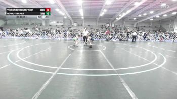 65 lbs Rr Rnd 1 - Vincenzo Destefano, All-American Wrestling Club Red vs Rowdy Haney, Team RJN