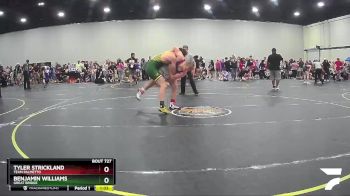 167 lbs Champ. Round 2 - Tyler Strickland, Team Palmetto vs Benjamin Williams, Great Bridge