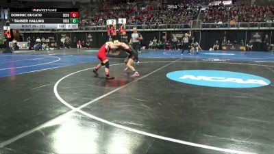 133 lbs Champ. Round 1 - Tanner Halling, Frostburg St. vs Dominic Ducato, St. Cloud St.