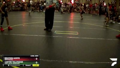 92 lbs Cons. Semi - Carter Tallmadge, Steel Valley Renegades vs Brayden Hoppe, Bridgewater