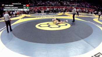 D1-106 lbs Quarterfinal - Dominic Difilippo, Medina vs Sam Adams, Mass. Perry
