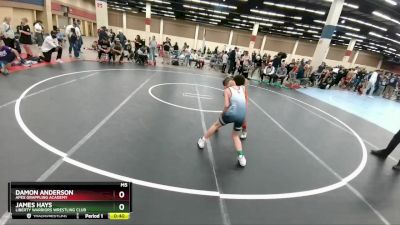 82 lbs Cons. Semi - Damon Anderson, Apex Grappling Academy vs James Hays, Liberty Warriors Wrestling Club