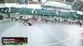 125 lbs 3rd Place Match - Dedrick Navarro, Northwestern vs Ashton Jackson, Purdue