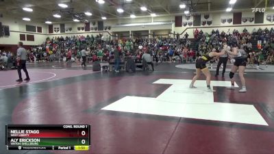 140 lbs Cons. Round 1 - Aly Erickson, Vinton-Shellsburg vs Nellie Stagg, West Liberty