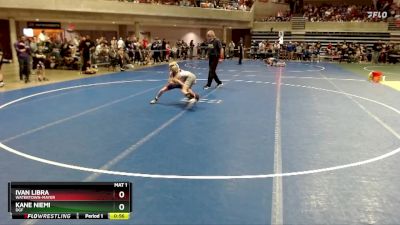 65 lbs Cons. Round 1 - Ivan Libra, Watertown-Mayer vs Kane Niemi, DGF