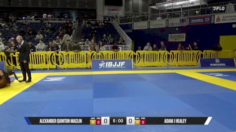 Adam J Healey vs Alexander Quinton Maclin 2025 Pan IBJJF Jiu-Jitsu No-Gi Championship