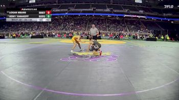 D4-138 lbs 3rd Place Match - Remy Yanakeff, Blissfield vs Logan Mears, Union City