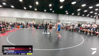 170 lbs Quarters & 1st Wb (16 Team) - Caden Young, Wisconsin vs Cole Radenz, North Dakota Blue